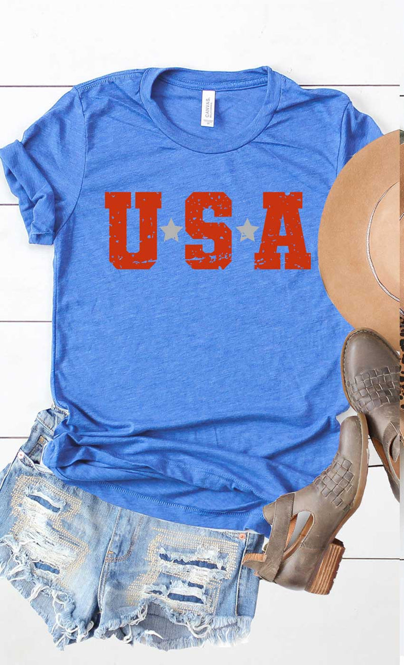 USA with Silver Stars Graphic Tee PLUS